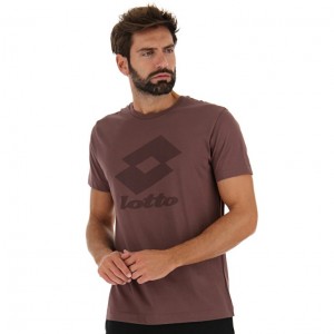 Camiseta Lotto Smart III Sports Zip Hombre Marrones | AO590399M8