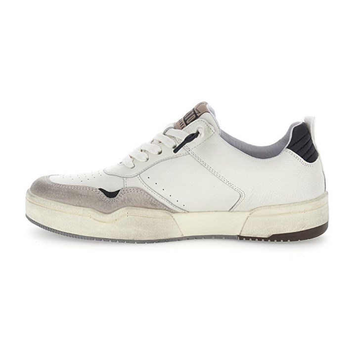 Zapatillas de Baloncesto Lotto Hoop Stars RUB 2 Hombre Blancas | ES244674E6